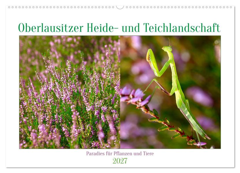 Oberlausitzer Heide- und Teichlandschaft (Wandkalender 2027 DIN A2 quer) CALVENDO Monatskalender