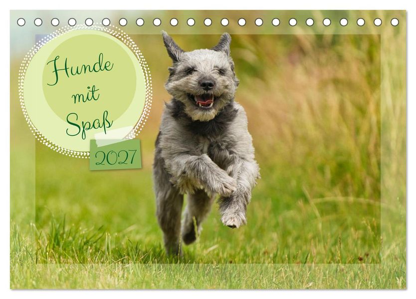 Hunde mit Spaß (Tischkalender 2027 DIN A5 quer) CALVENDO Monatskalender