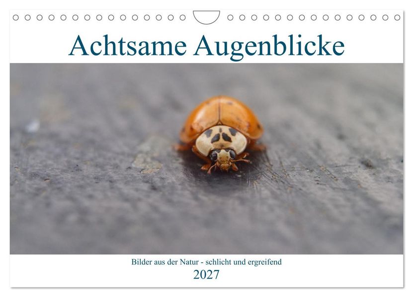 Achtsame Augenblicke (Wandkalender 2027 DIN A4 quer) CALVENDO Monatskalender