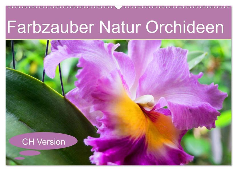 Farbzauber Natur Orchideen - CH Version (Wandkalender 2027 DIN A2 quer) CALVENDO Monatskalender