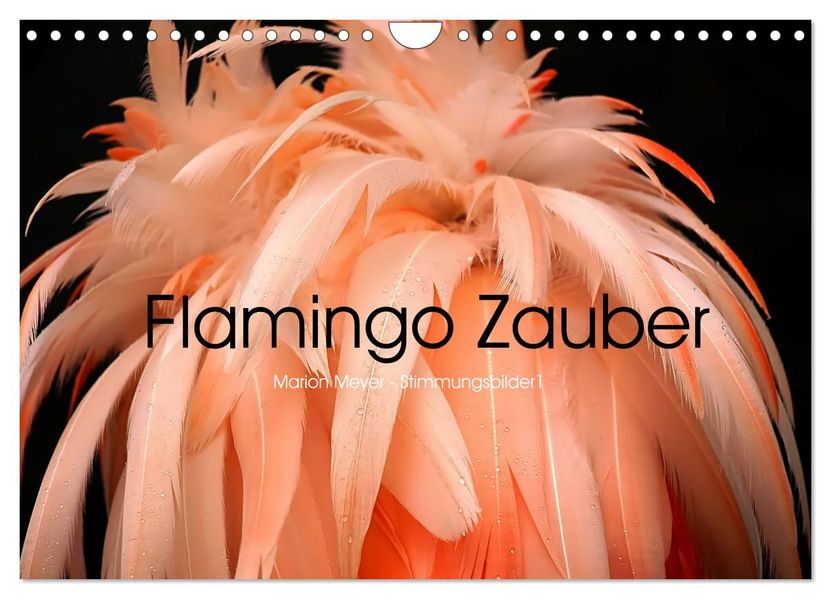 Flamingo Zauber (Wandkalender 2027 DIN A4 quer) CALVENDO Monatskalender