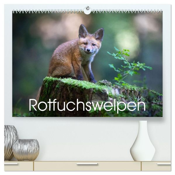 Rotfuchswelpen (hochwertiger Premium Wandkalender 2027 DIN A2 quer) Kunstdruck in Hochglanz