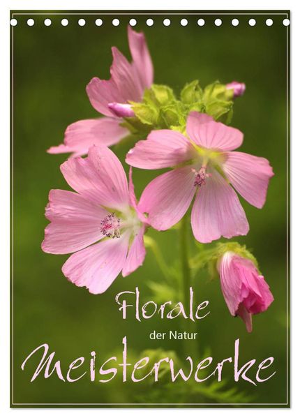 Florale Meisterwerke der Natur (Tischkalender 2027 DIN A5 hoch) CALVENDO Monatskalender