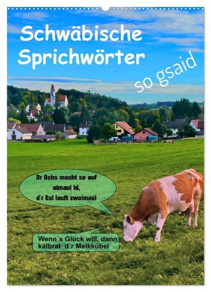Schwäbische Sprichwörter - so gsaid (Wandkalender 2027 DIN A2 hoch) CALVENDO Monatskalender