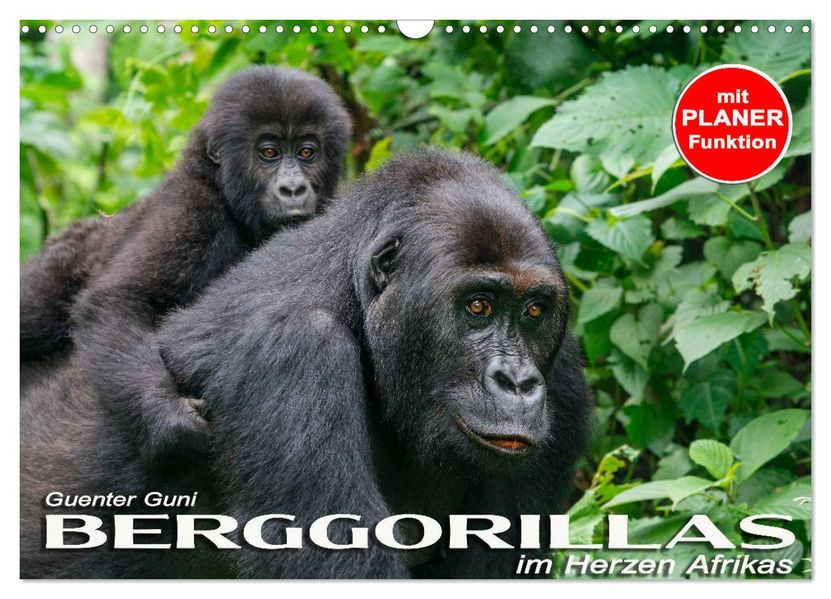Berggorillas im Herzen Afrikas (Wandkalender 2027 DIN A3 quer) CALVENDO Monatskalender