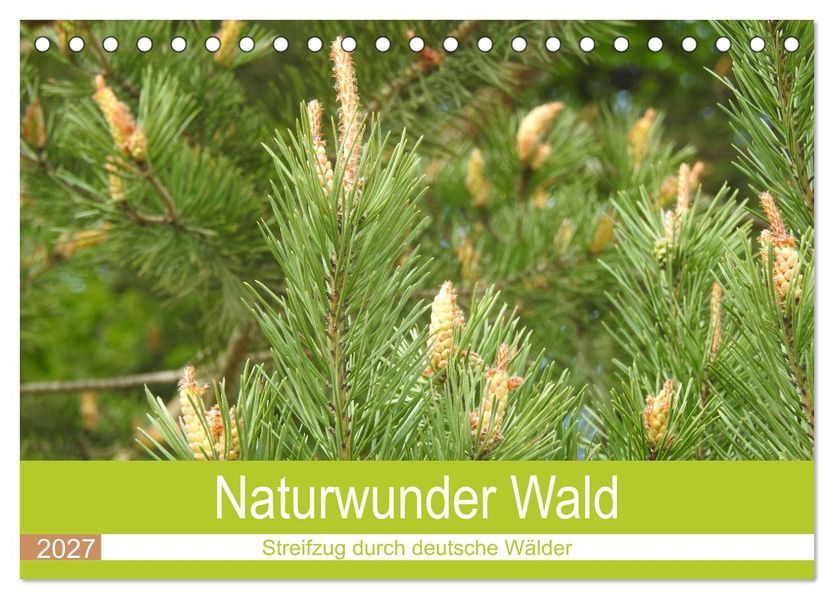 Naturwunder Wald (Tischkalender 2027 DIN A5 quer) CALVENDO Monatskalender