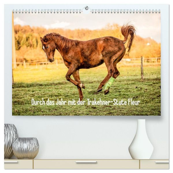 Durch das Jahr mit der Trakehner-Stute Fleur (hochwertiger Premium Wandkalender 2027 DIN A2 quer) Kunstdruck in Hochglanz