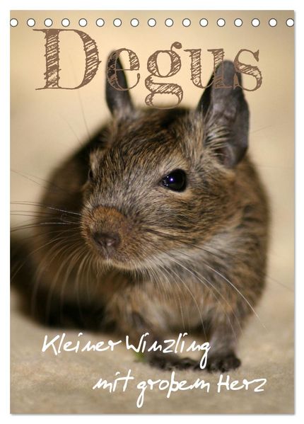 Degus - Winzlinge mit großem Herz (Tischkalender 2027 DIN A5 hoch) CALVENDO Monatskalender
