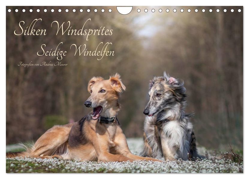 Silken Windsprites - Seidige Windelfen (Wandkalender 2027 DIN A4 quer) CALVENDO Monatskalender