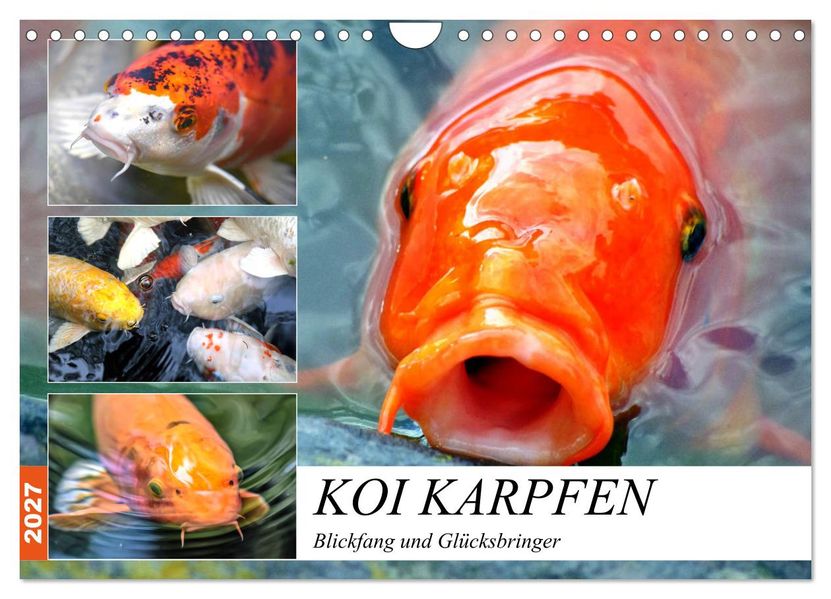 Koi Karpfen. Blickfang und Glücksbringer (Wandkalender 2027 DIN A4 quer) CALVENDO Monatskalender