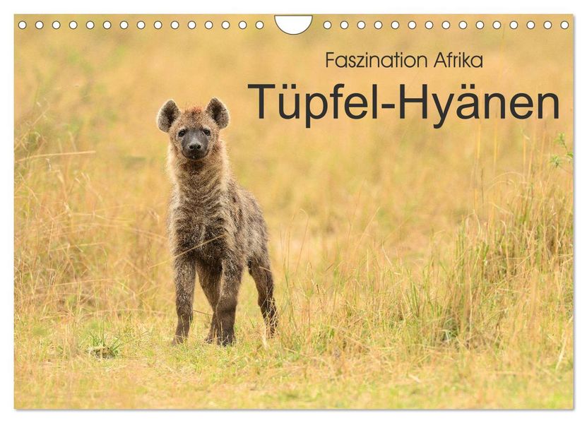 Faszination Afrika: Tüpfel-Hyänen (Wandkalender 2027 DIN A4 quer) CALVENDO Monatskalender