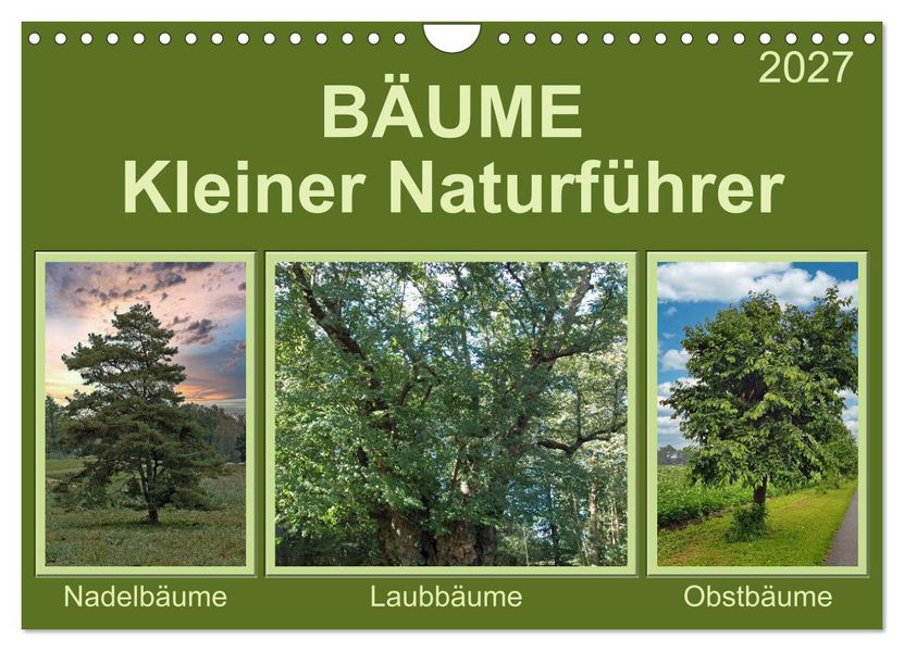 Bäume Kleiner Naturführer (Wandkalender 2027 DIN A4 quer) CALVENDO Monatskalender