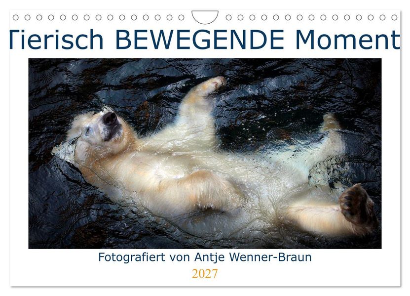 Tierisch BEWEGENDE Momente (Wandkalender 2027 DIN A4 quer) CALVENDO Monatskalender