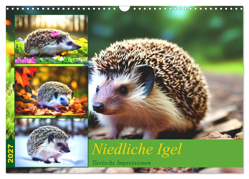 Niedliche Igel (Wandkalender 2027 DIN A3 quer) CALVENDO Monatskalender