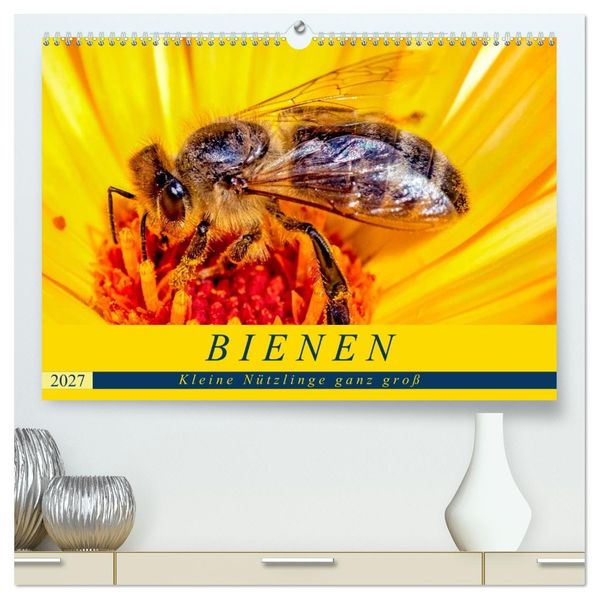 BIENEN - Kleine Nützlinge ganz groß (hochwertiger Premium Wandkalender 2027 DIN A2 quer) Kunstdruck in Hochglanz