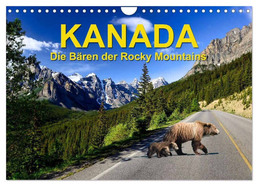 KANADA - Die Bären der Rocky Mountains (Wandkalender 2027 DIN A4 quer) CALVENDO Monatskalender