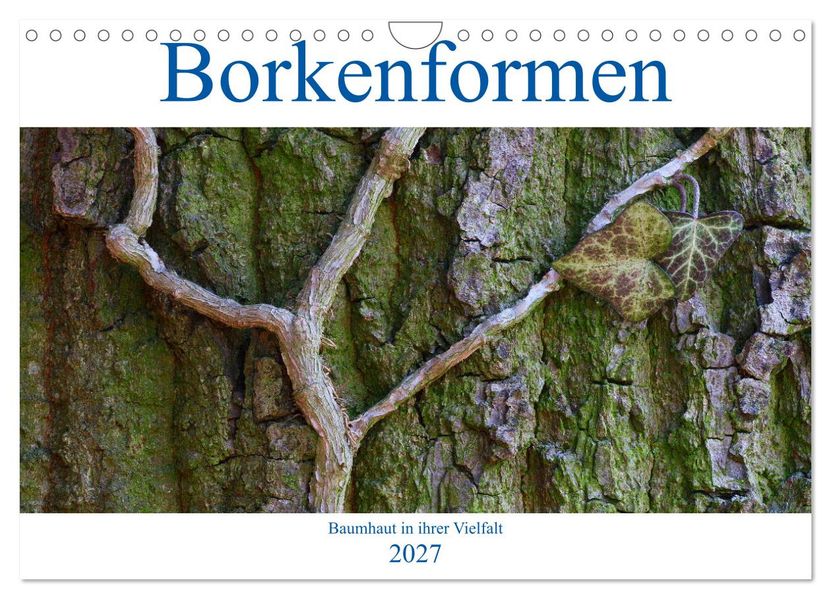 Borkenformen (Wandkalender 2027 DIN A4 quer) CALVENDO Monatskalender