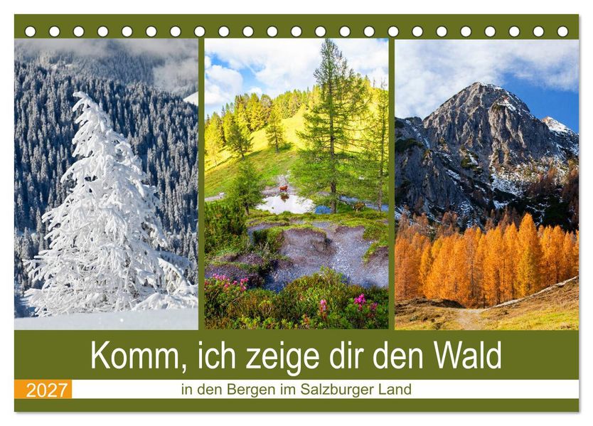 Komm ich zeige dir den Wald (Tischkalender 2027 DIN A5 quer) CALVENDO Monatskalender