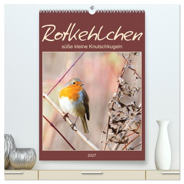 Rotkehlchen süße kleine Knutschkugeln (hochwertiger Premium Wandkalender 2027 DIN A2 hoch) Kunstdruck in Hochglanz