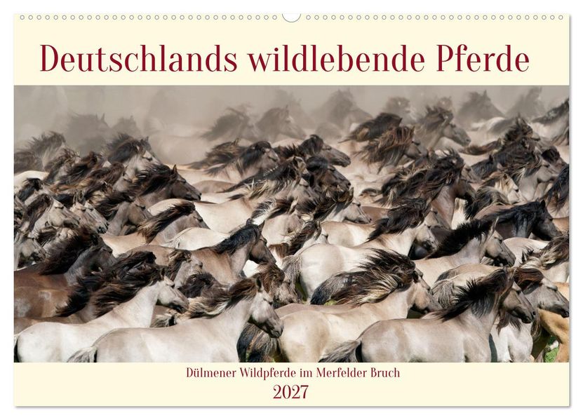 Deutschlands wildlebende Pferde (Wandkalender 2027 DIN A2 quer) CALVENDO Monatskalender