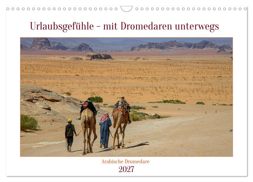 Urlaubsgefühle - mit Dromedaren unterwegs (Wandkalender 2027 DIN A3 quer) CALVENDO Monatskalender