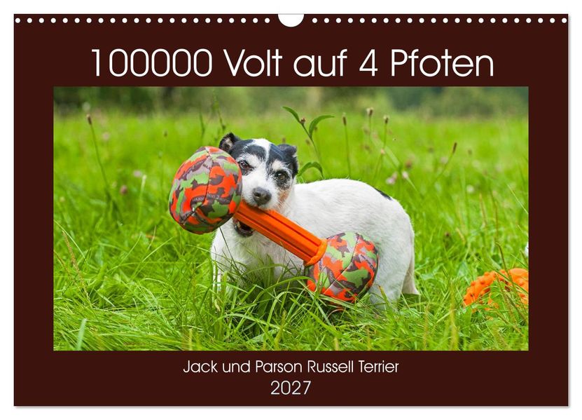 100000 Volt auf vier Pfoten - Jack und Parson Russell Terrier (Wandkalender 2027 DIN A3 quer) CALVENDO Monatskalender