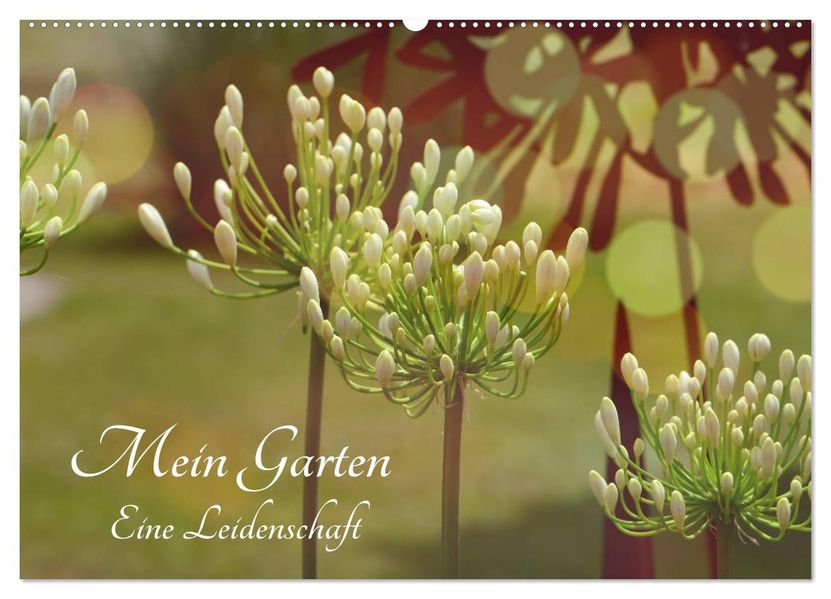 Mein Garten Eine Leidenschaft (Wandkalender 2027 DIN A2 quer) CALVENDO Monatskalender