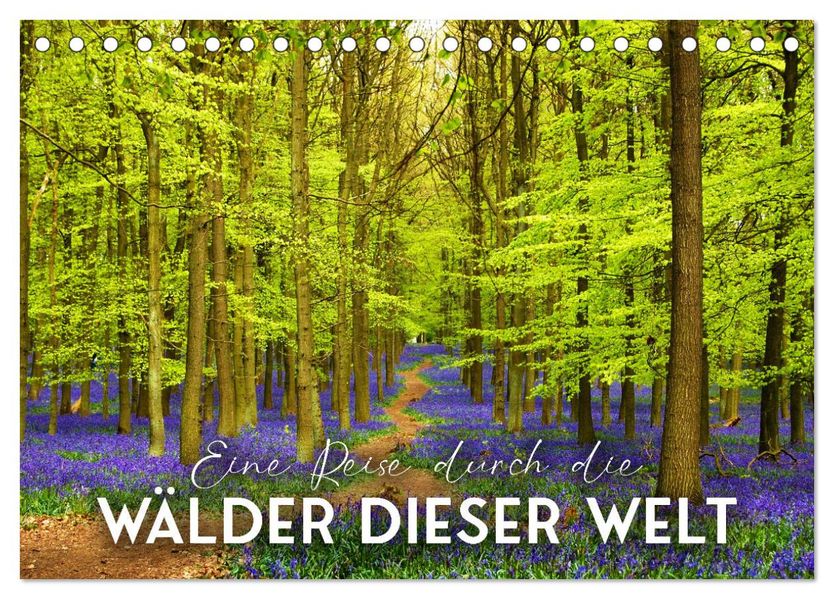 Eine Reise durch die Wälder dieser Welt (Tischkalender 2027 DIN A5 quer) CALVENDO Monatskalender