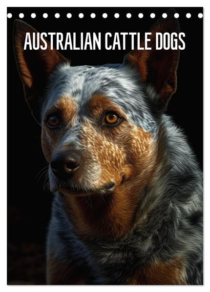 Australian Cattle Dogs (Tischkalender 2027 DIN A5 hoch) CALVENDO Monatskalender