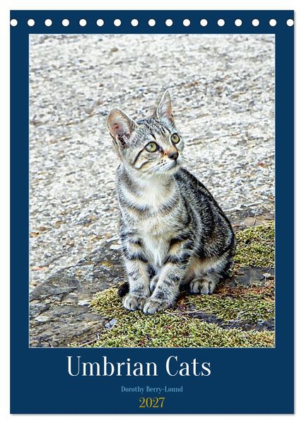 Umbrian Cats (Desk Calendar 2027 DIN A5 portrait) CALVENDO 12 Month DeskCalendar