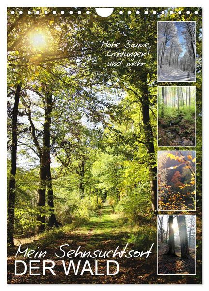 Mein Sehnsuchtsort der Wald (Wandkalender 2027 DIN A4 hoch) CALVENDO Monatskalender