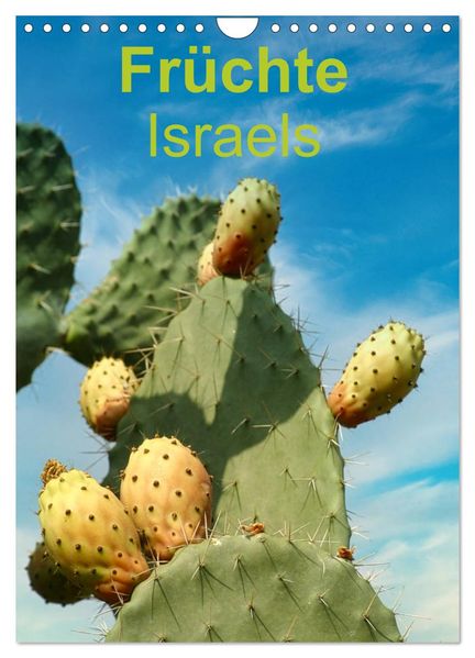 Früchte Israels (Wandkalender 2027 DIN A4 hoch) CALVENDO Monatskalender