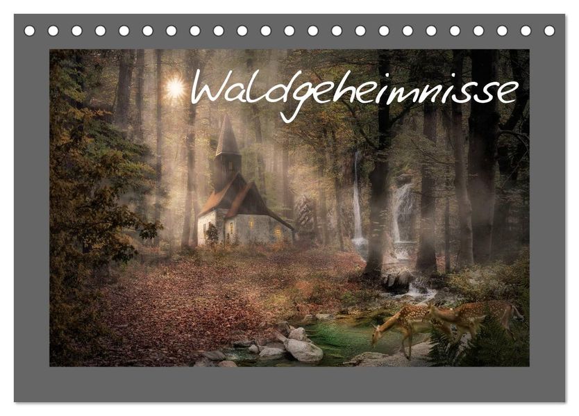 Waldgeheimnisse (Tischkalender 2027 DIN A5 quer) CALVENDO Monatskalender