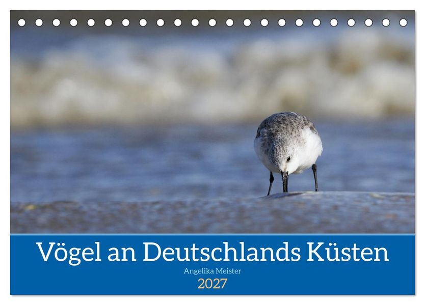 Vögel an Deutschlands Küsten (Tischkalender 2027 DIN A5 quer) CALVENDO Monatskalender