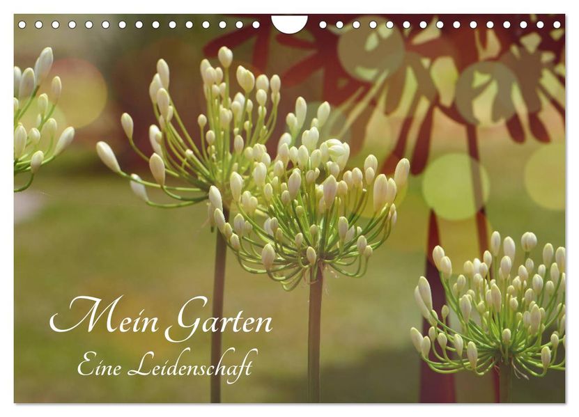 Mein Garten Eine Leidenschaft (Wandkalender 2027 DIN A4 quer) CALVENDO Monatskalender