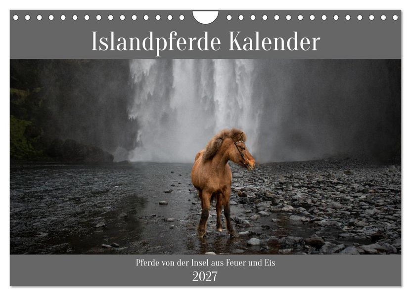 Islandpferde Kalender - Pferde von der Insel aus Feuer und Eis (Wandkalender 2027 DIN A4 quer) CALVENDO Monatskalender