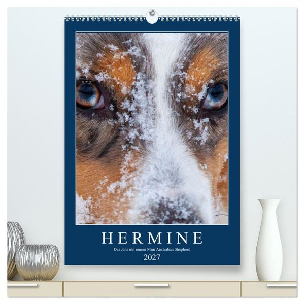 Hermine - Ein Jahr mit einem Mini Australian Shepherd (hochwertiger Premium Wandkalender 2027 DIN A2 hoch) Kunstdruck in Hochglanz