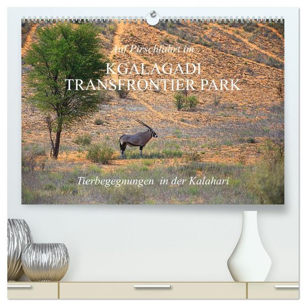 Auf Pirschfahrt im Kgalagadi Transfrontier Park (hochwertiger Premium Wandkalender 2027 DIN A2 quer) Kunstdruck in Hochglanz