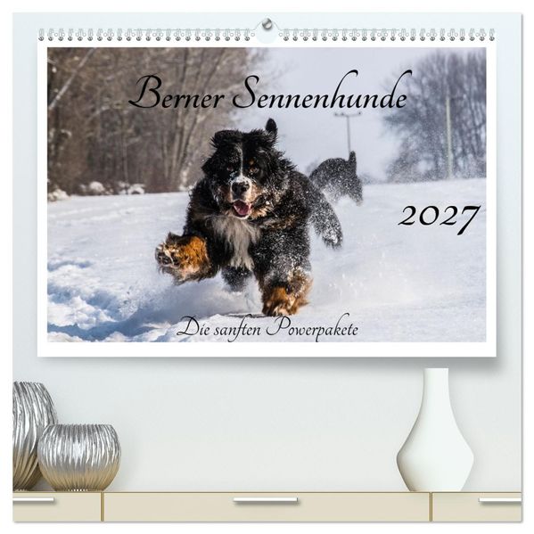 Berner Sennenhunde - Die sanften Powerpakete (hochwertiger Premium Wandkalender 2027 DIN A2 quer) Kunstdruck in Hochglanz