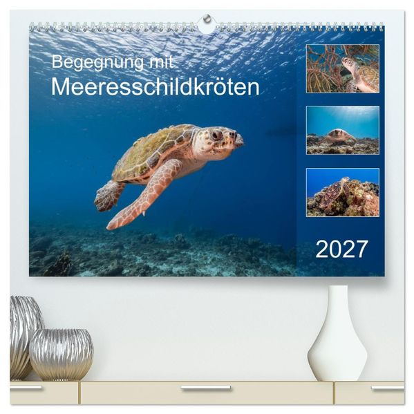 Begegnung mit Meeresschildkröten (hochwertiger Premium Wandkalender 2027 DIN A2 quer) Kunstdruck in Hochglanz