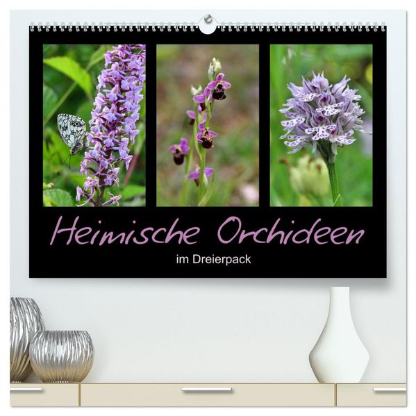 Heimische Orchideen im Dreierpack (hochwertiger Premium Wandkalender 2027 DIN A2 quer) Kunstdruck in Hochglanz