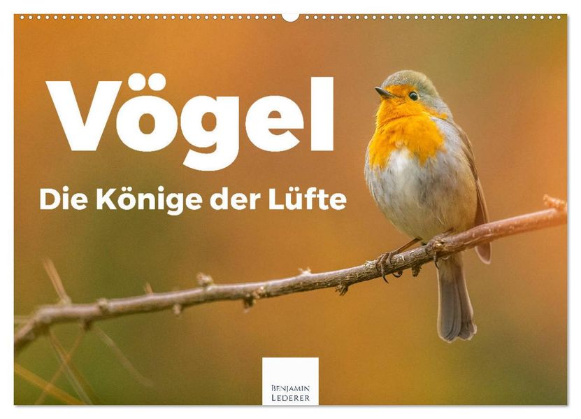 Vögel - Die Könige der Lüfte (Wandkalender 2027 DIN A2 quer) CALVENDO Monatskalender
