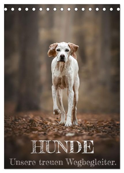 Hunde - Unsere treuen Wegbegleiter. (Tischkalender 2027 DIN A5 hoch) CALVENDO Monatskalender