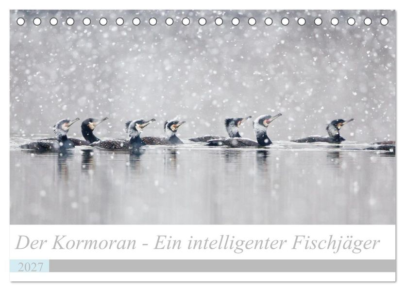 Der Kormoran - Ein intelligenter Fischjäger (Tischkalender 2027 DIN A5 quer) CALVENDO Monatskalender
