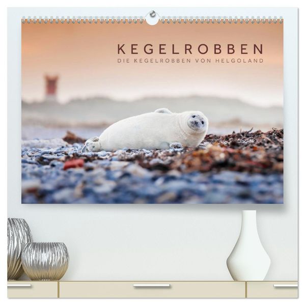 Kegelrobben - Die Kegelrobben von Helgoland (hochwertiger Premium Wandkalender 2027 DIN A2 quer) Kunstdruck in Hochglanz