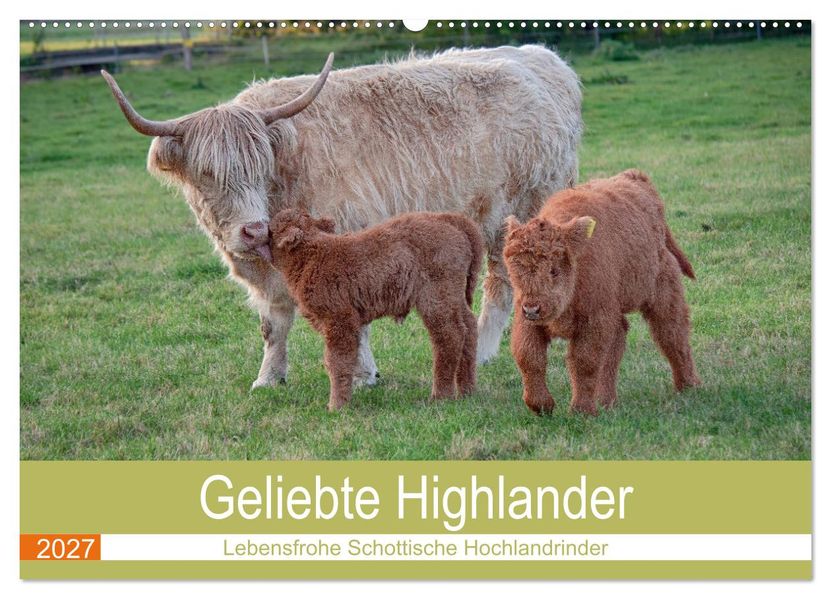 Geliebte Highlander (Wandkalender 2027 DIN A2 quer) CALVENDO Monatskalender
