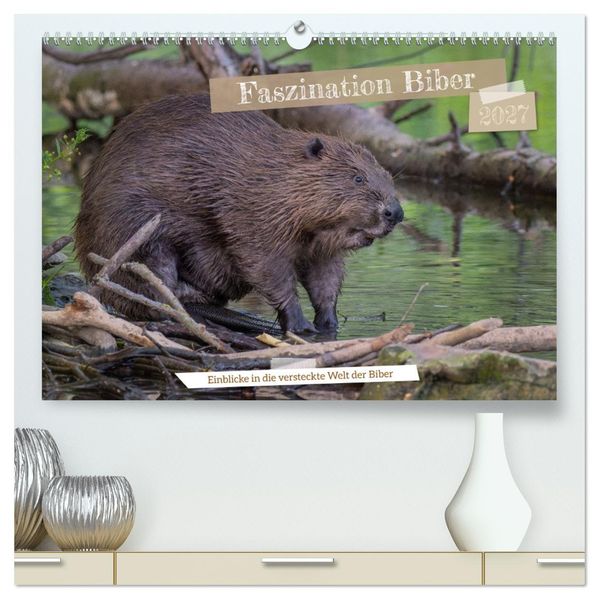 Faszination Biber (hochwertiger Premium Wandkalender 2027 DIN A2 quer) Kunstdruck in Hochglanz