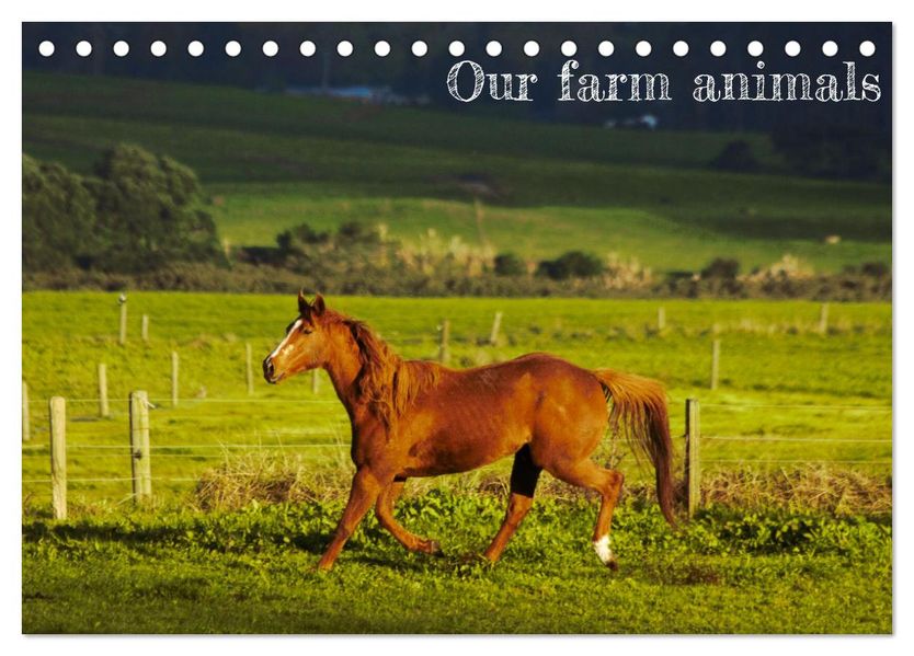 Our farm animals (Desk Calendar 2027 DIN A5 landscape) CALVENDO 12 Month DeskCalendar