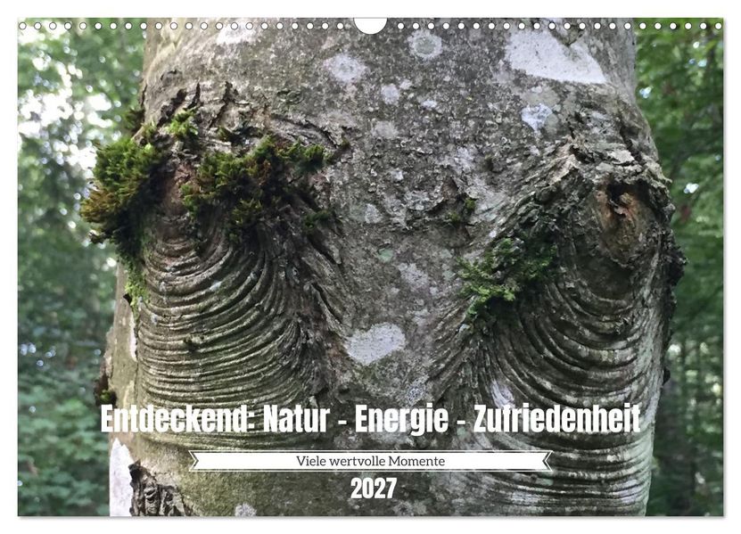 Entdeckend: Natur - Energie - Zufriedenheit (Wandkalender 2027 DIN A3 quer) CALVENDO Monatskalender