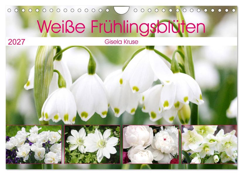 Weiße Frühlingsblüten (Wandkalender 2027 DIN A4 quer) CALVENDO Monatskalender